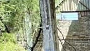 Campo de exterminio en Tamaulipas