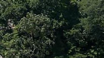 Cárteles derriban puente en Chiapas