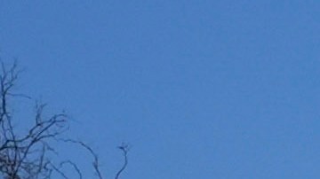 Fire crews examine a property damaged by the Airport Fire Thursday, Sept. 12, 2024, in El Cariso Village, in unincorporated Riverside County, Calif. (AP Photo/Gregory Bull)