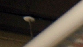 Joan McGee, of Arlington, Va., who has no electricity at her home, cools off with her two cats, Piper and Ellie, at a cooling center at the George Mason Recreation Center Arlington, Va., Sunday, July 1, 2012. Severe storms swept through the area leaving many homes and businesses without electricity. (AP Photo/Cliff Owen)