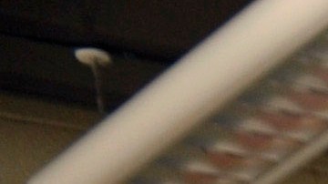 Joan McGee, of Arlington, Va., who has no electricity at her home, cools off with her two cats, Piper and Ellie, at a cooling center at the George Mason Recreation Center Arlington, Va., Sunday, July 1, 2012. Severe storms swept through the area leaving many homes and businesses without electricity. (AP Photo/Cliff Owen)