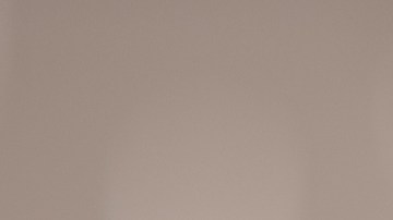 Chef profesional Dollar Tree