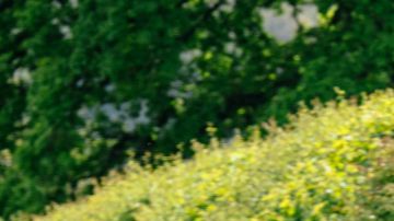 Conoce el Lexus LBX, el nuevo estándar del lujo urbano