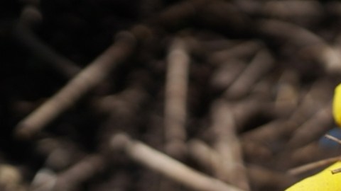 Contaminación del suelo y del agua afectan nuestra salud cardiovascular