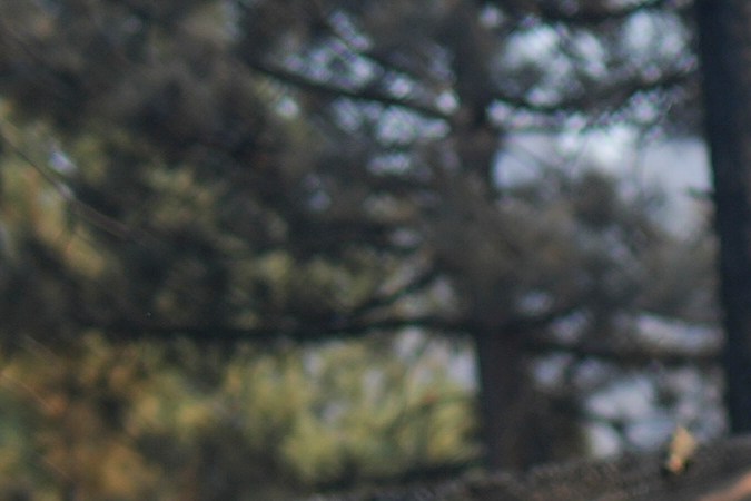 A fire-ravaged property is seen after the Bridge Fire swept through, Thursday, Sept. 12, 2024, in Wrightwood, Calif. (AP Photo/Eric Thayer)