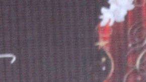 David Zepeda Aracely Arámbula