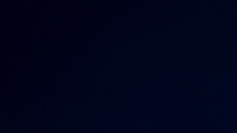 Los dos agentes heridos en el accidente en Detroit se encontraban en estado crítico.