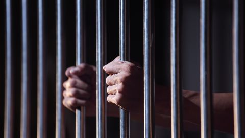 Los antecedentes penales del delincuente de Detroit incluyen la agresión sexual a una adolescente y a una menor de edad discapacitada.