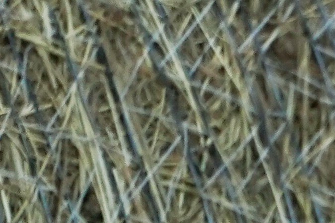 El exvicepresidente republicano Dick Cheney anunció que votará por Kamala Harris.