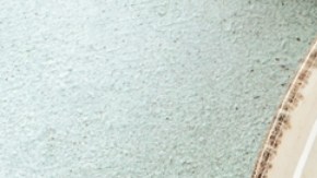 Dieta pesco-vegetariana puede ayudarnos a sumar años de vida