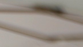 FILE - In this Sept. 28, 2017, file photo, Marijuana plants are displayed at the Green Goat Family Farms stand at "The State of Cannabis," a California industry group meeting in Long Beach, Calif. There will be no legal pot party in Los Angeles on Jan. 1. California kicks off recreational sales on New Year's Day, becoming the largest state in the nation with legal cannabis for adults. But Los Angeles officials announced Friday, Dec. 22, 2017, that dispensaries in the city won't be part of the celebration. The city won't begin accepting applications to sell legal recreational pot until Jan. 3, 2018, and it could take weeks before those businesses are properly licensed with the city and state. (AP Photo/Damian Dovarganes, File)