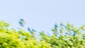 Empleados de Dollar Tree comparten 6 "secretos" que pocos conocen