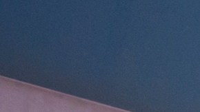 Dollar Tree, millonarios