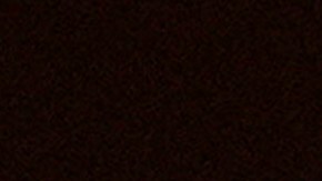 Trump confiesa que recibió una "llamada muy amable" de Harris tras intento de asesinato