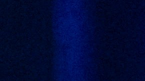 Trump dice que los judíos que voten por Harris deberían ""examinarse de la cabeza