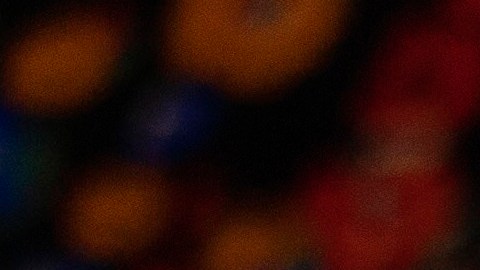 Edmundo González salió de Venezuela luego de que un tribunal emitió una orden de aprehensión en su contra.