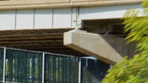 El Ford Mustang V8 persiste en la era de la electrificación