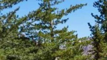 El Mitsubishi Outlander PHEV 2024 impacta otro mercado