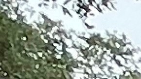 Se espera que Francine se convierta en un ciclón postropical más tarde hoy.