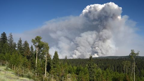 Las autoridades advirtieron que el humo del incendio de la planta química de Georgia podría ser tóxico.