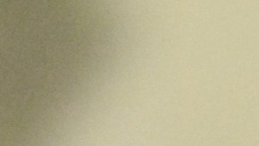 Gigi Hadid y Bradley Cooper están juntos.