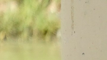 HRW acusa que Guardia Nacional de Texas lanza proyectiles de gas pimienta contra migrantes