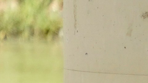 HRW acusa que Guardia Nacional de Texas lanza proyectiles de gas pimienta contra migrantes