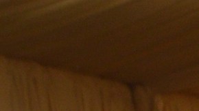 Hailey y Justin Bieber