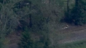 El huracán Helene se ha cobrado la vida de al menos 115 personas en seis estados del sureste de EE.UU.