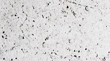 Hombre predice premio de lotería