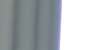 Trabajadores se plantaron afuera del Ayuntamiento de LA.