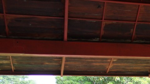 Marina en México asegura 1.7 toneladas de cocaína en territorio dominado por el CJNG