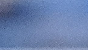 Rodolfo Pizarro ya fue dirigido por Vucetich en Monterrey.