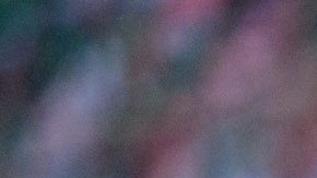 Inglewood, California, Estados Unidos, 16 de julio de 2023. @@@, durante el partido de la Final de la Copa Oro de la CONCACAF 2023, entre la Selección Nacional de México y la selección de Panamá, celebrado en el SoFi Stadium. Foto: Imago7/ Eliud Gil Samaniego