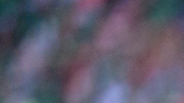 Inglewood, California, Estados Unidos, 16 de julio de 2023. @@@, durante el partido de la Final de la Copa Oro de la CONCACAF 2023, entre la Selección Nacional de México y la selección de Panamá, celebrado en el SoFi Stadium. Foto: Imago7/ Eliud Gil Samaniego