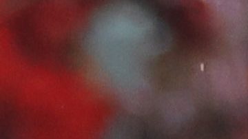 Zapopan, Jalisco, 7 de octubre de 2023. Roberto Alvarado "Piojo" y Alan Mozo en festejo de gol, durante el partido de la jornada 12 del torneo Apertura 2023 de la Liga BBVA MX, entre las Chivas Rayadas del Guadalajara y los Rojinegros del Atlas, celebrado en el estadio Akron. Foto: Imago7/ Juan Carlos Núñez Cubeyro.