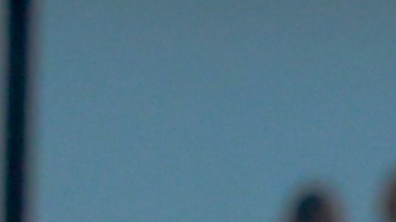 Ciudad de México a 20 de de Abril de 2024. Lisandro Magallan, Álvaro Fidalgo y Nathan Silva, durante el partido correspondiente a la jornada 16 del torneo Clausura 2024 de la Liga BBVA MX, entre los Pumas de la UNAM y las Águilas del América, realizado en el estadio Olímpico Universitario. Foto: Imago7/