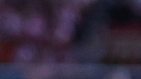 Querétaro, Querétaro a 16 de Julio de 2024. Cade Cowell y Javier Hernández "Chicharito" en festejo de gol, durante el partido correspondiente a la jornada 3 del torneo Apertura 2024 de la Liga BBVA MX, entre los Gallos Blancos de Querétaro y las Chivas Rayadas del Guadalajara, realizado en el estadio la Corregidora. Foto: Imago7/Eloísa Sánchez