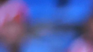 Javier Hernández solo tiene un gol desde su regreso a las Chivas.