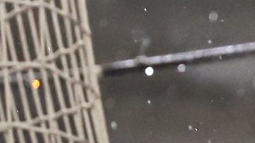 Antuna solo tiene un gol con los Tigres de la UANL.