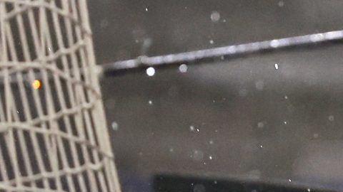 Antuna solo tiene un gol con los Tigres de la UANL.
