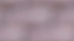 Pasadena, California, Estados Unidos, 6 de septiembre de 2024. Javier Aguirre, director técnico durante el entrenamiento de la selección nacional de México previo al partido de preparación frente a la selección de Nueva Zelanda, realizado en el estadio Rose Bowl Foto: Imago7/ Etzel Espinosa