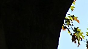 Arlington, Texas, Estados Unidos, 10 de septiembre de 2024. , Afición durante el partido de preparación del MEXTOUR 2024, entre la Selección Nacional de México y la Selección de Canadá, celebrado en el AT&T Stadium. Foto: Imago7/ Etzel Espinosa