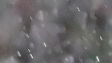 León, Guanajuato a 14 de septiembre de 2024. Rodolfo Rotondi en festejo de gol, durante el partido correspondiente a la jornada 7 del torneo Apertura 2024 de la Liga BBVA MX, entre los esmeraldas de León y la máquina celeste del Cruz Azul, realizado en el estadio León. Foto/ Imago7/ Ramón Balandrán