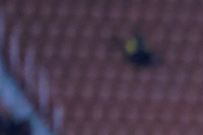 Ciudad de México a 17 de septiembre de 2024. Jhon Murillo y Erick Sánchez, durante el partido correspondiente a la jornada 8 del torneo Apertura 2024 de la Liga BBVA MX, entre las Águilas del América y los rojinegros del Atlas, realizado en el estadio Ciudad de los Deportes. Foto: Imago7 / Jennifer López