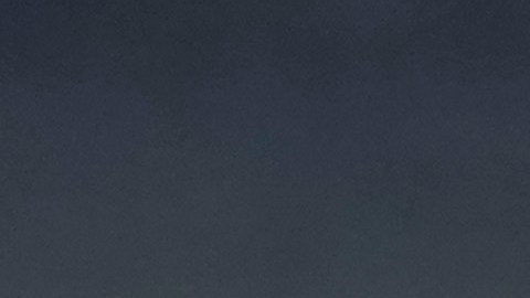 Gustavo Lema, director técnico de los Pumas de la UNAM, durante el partido correspondiente a la jornada 8 del torneo Apertura 2024 ante el Puebla.