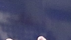 Deossa ha aumentado su valor considerablemente.