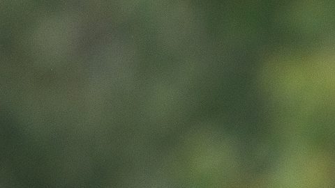 Ciudad de México, 27 de septiembre de 2024. César Huerta, durante un entrenamiento de los Pumas de la UNAM previo al partido de la jornada 10 del torneo Apertura de la Liga BBVA MX, en contra de las Águilas del América, celebrado en Cantera. Foto: Imago7/ Diego Padilla