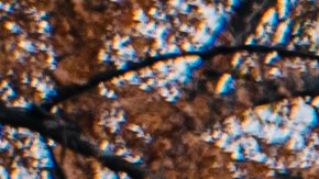 Instituto Tecnológico de Massachusetts