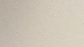 Jueza rechaza traslado de “El Mayo” Zambada a Nueva York